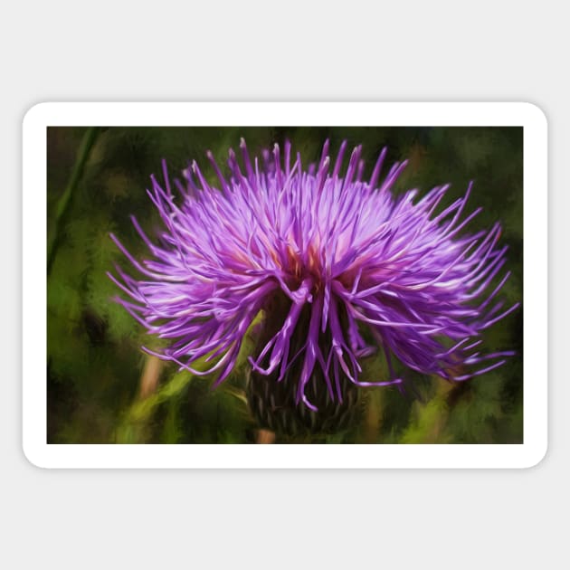 New Mexican Thistle Sticker by becky-titus